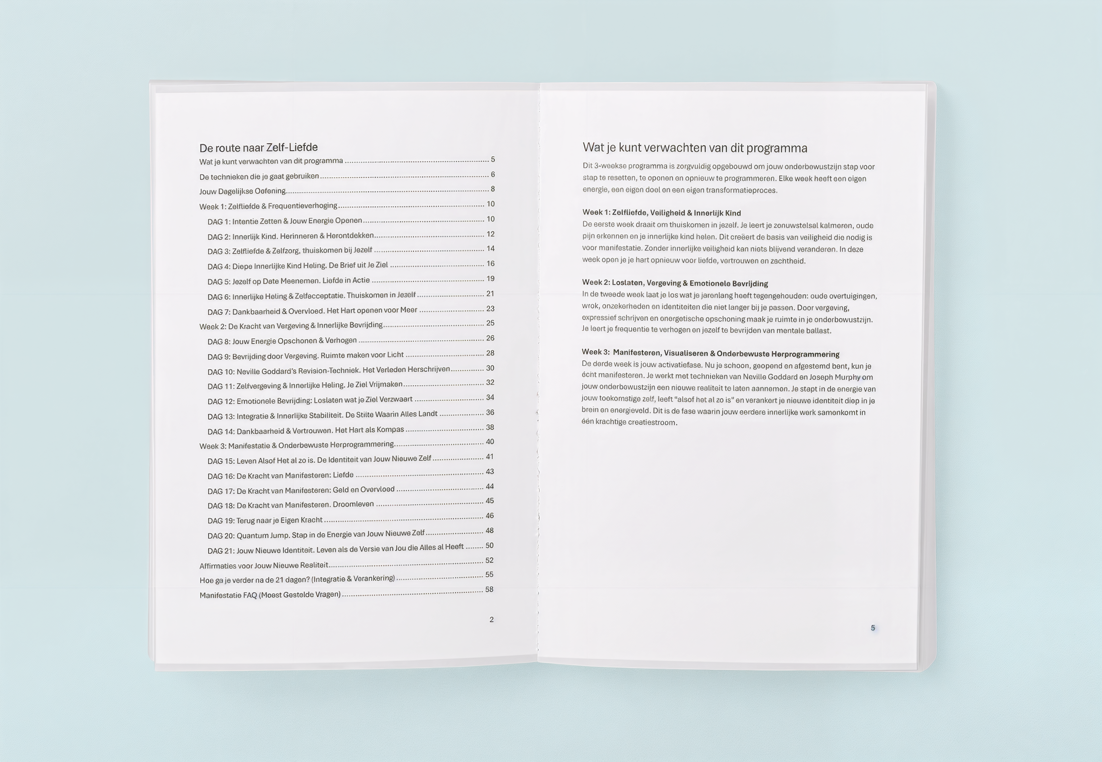 21-Daagse Manifestatieprogramma