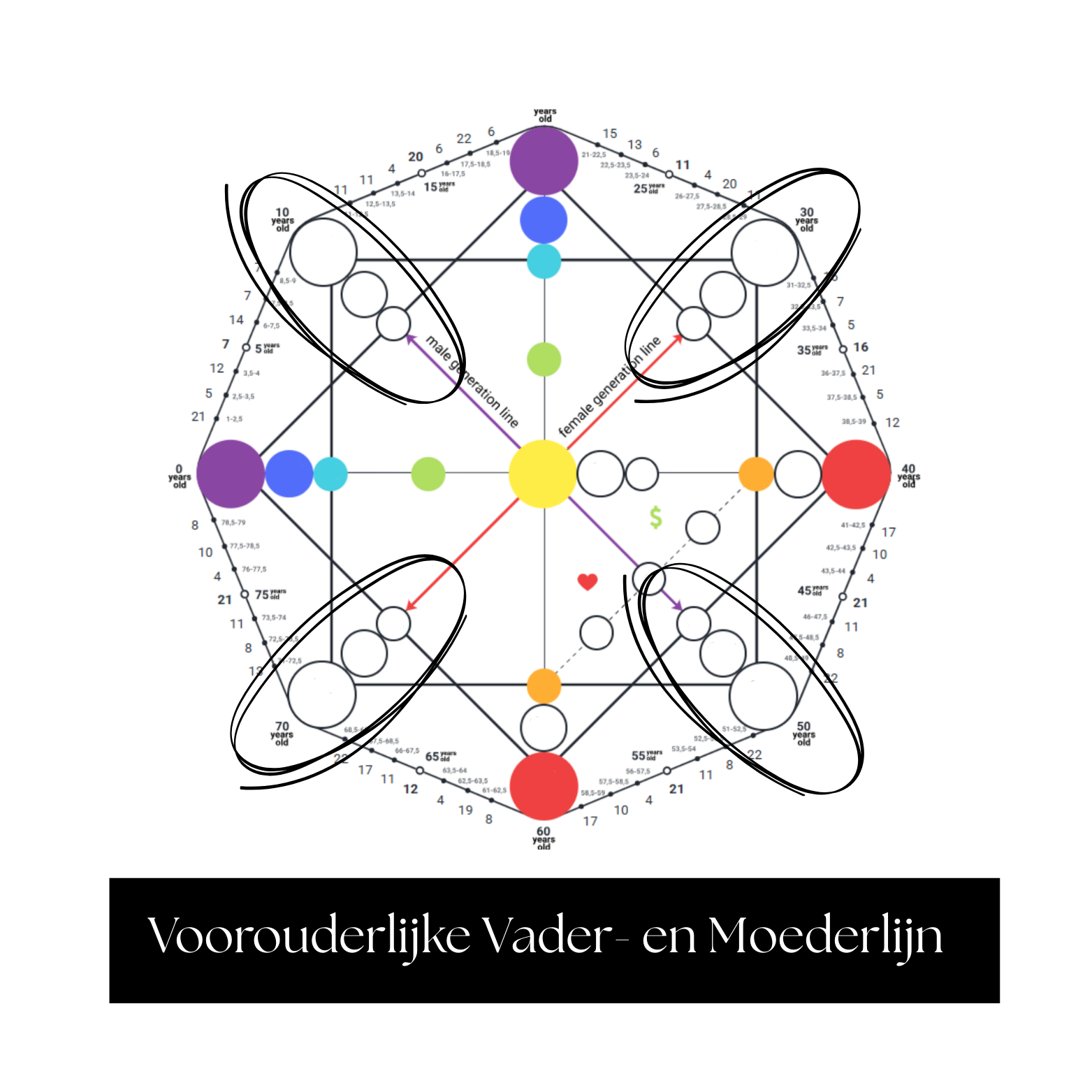 Voorouderlijke Vader- en Moederlijn